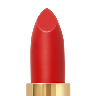 https://cdn.shopify.com/s/files/1/1857/6931/products/pVBWvbfgtc.jpg?v=1625913990